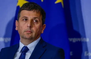 Gdje je zastava? – Vukanović otkrio zanimljiv detalj sa sastanka Dodika, Trišić Babić i Herzoga